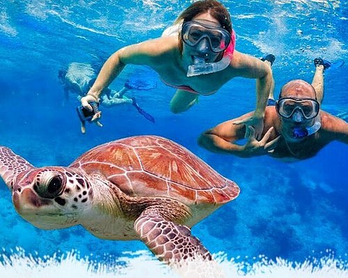 Snorkel with turtles